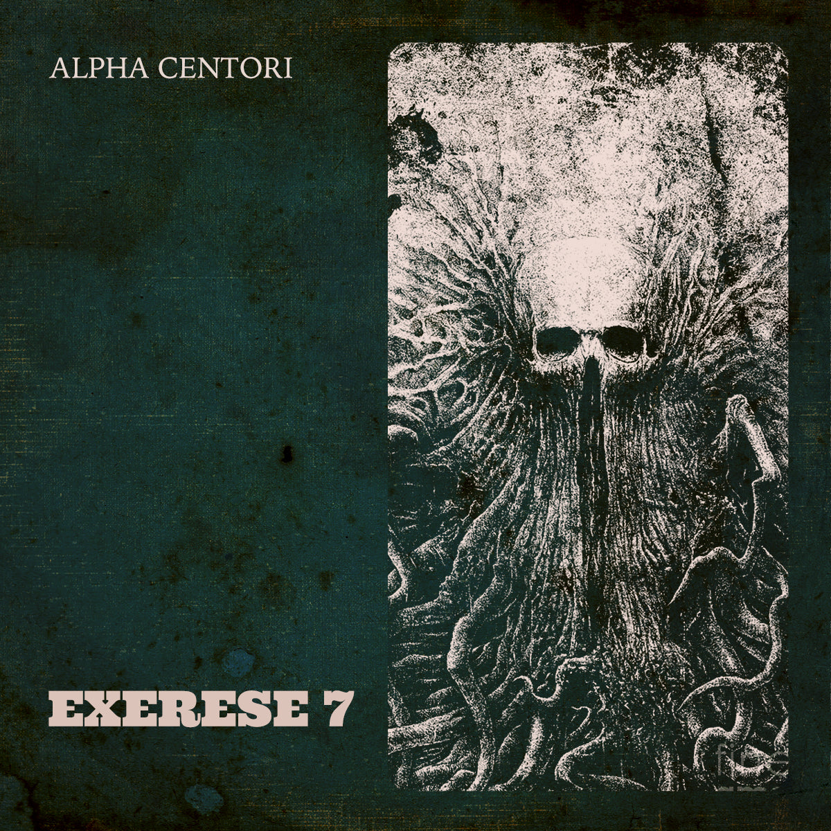 Exerese 7