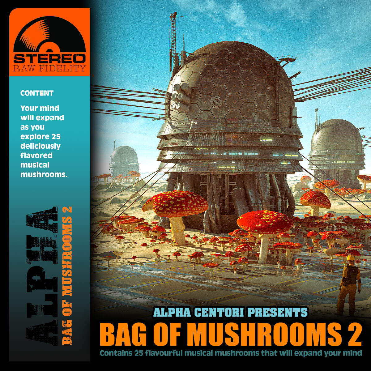Bag Of Mushrooms 2